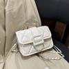 Small Crossbody Bag - A Unique Summer Style Bag with Fashionable New Quality and A Chain Strap.