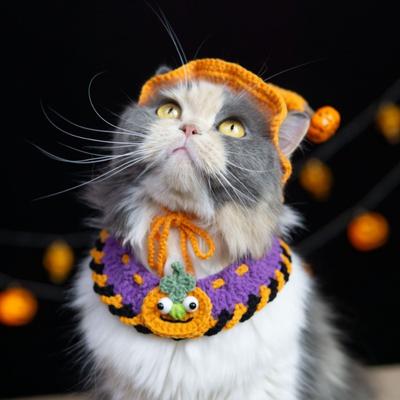Kedi – Kediler için giyim