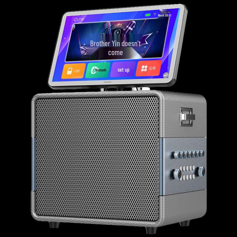 Philips SD310 Portable KTV Karaoke System with Display (CN Version)