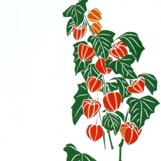 Barvení Anbo Ručník Autenticky Barvená Bavlna Tokuoka Vyrobeno v Japonsku 35cm x 100cm "Oranžová Světlá" 100%