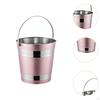 Eiseimer Tragbar Kühlend 1,7L Edelstahl Servieren Wein für