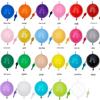Lotte 10" Latex Tail Ball for Weddings, Birthdays, and Parties