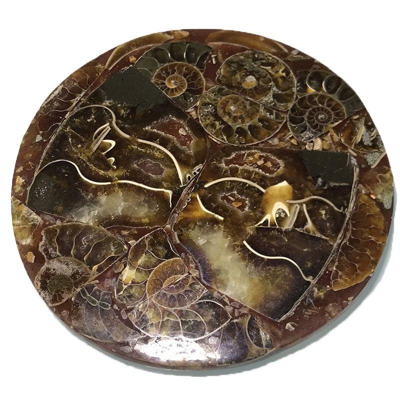 Natural 1pc Ammonite Fossil Quartz Crystal Disk Shell Plate Conch Reiki Stand