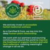 Organic Raspberry Leaf Tea, 16 Bags by Traditional Medicinals Teas