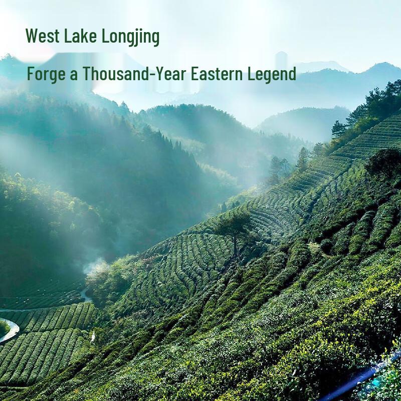 Xiyunwu Hangzhou Longjing Green Tea 100g