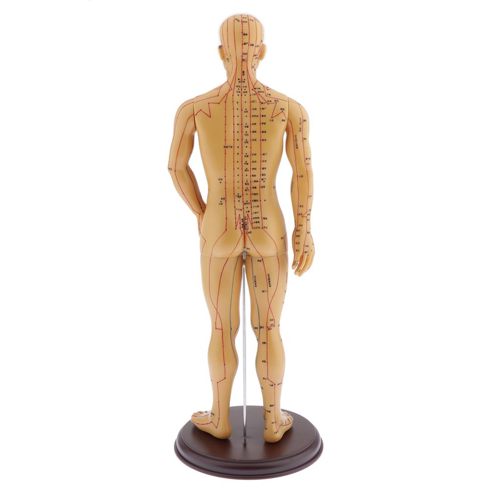 Figure, Male / Full Body