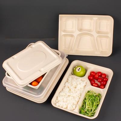 Not Easy To Leak Disposable Meal Box Grid Design Thickened Biodegradable Packaging Box Water and Oil Repellent Stress Resistance