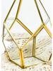 Geometric Glass Rhombus Greenhouse Ornament: European Wine Cabinet Micro Landscape & Preserved Flower Pot Craft