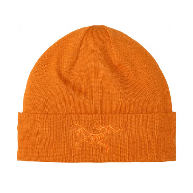 Шапка Arc teryx Бини Птица Ток AEPFU10066/CSF AEPFU10066/CSF