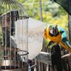 Bird Cage Feeder with Large Capacity Scientific Design Easy Clean Bird Food Holder for Pigeon Parrot Quail Hanging Feeder Box