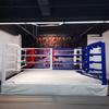 Xinhuarui Elevated Combat Training Ring