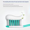 Leng Suan Ling Professional Whitening & Sensitivity Pump Toothpaste