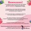 LANEIGE Lippenschlafmaske EX 3g Lippenschlafbeere