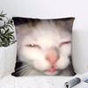 Zabawne memy z kotem domowym Poszewka na poduszkę Antyroztoczowa poszewka na poduszkę Niewidoczny zamek Jedwabisty krótki plusz Pokrowiec na poduszkę na sofę