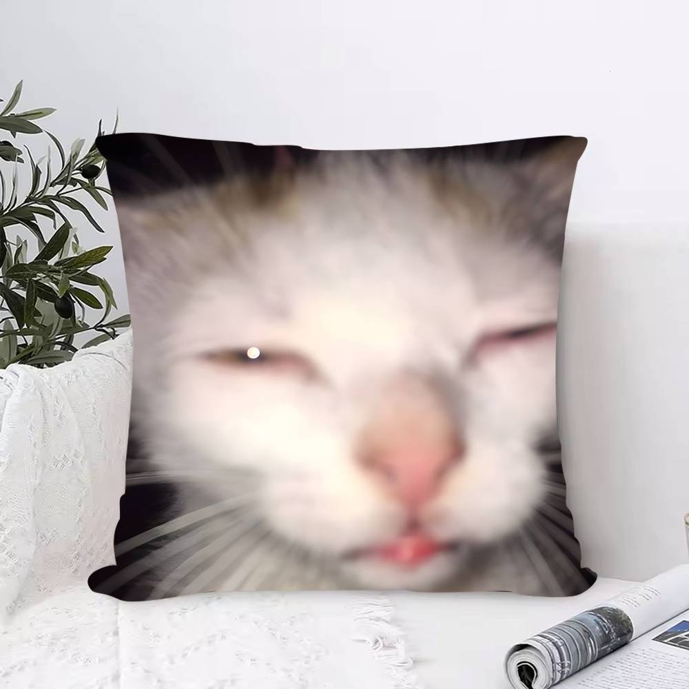 Pet Cat Funny Memes Pillow Case Anti-dustmite Pillowcase Invisible Zipper Silky Short Plush Sofa Cushion Cover