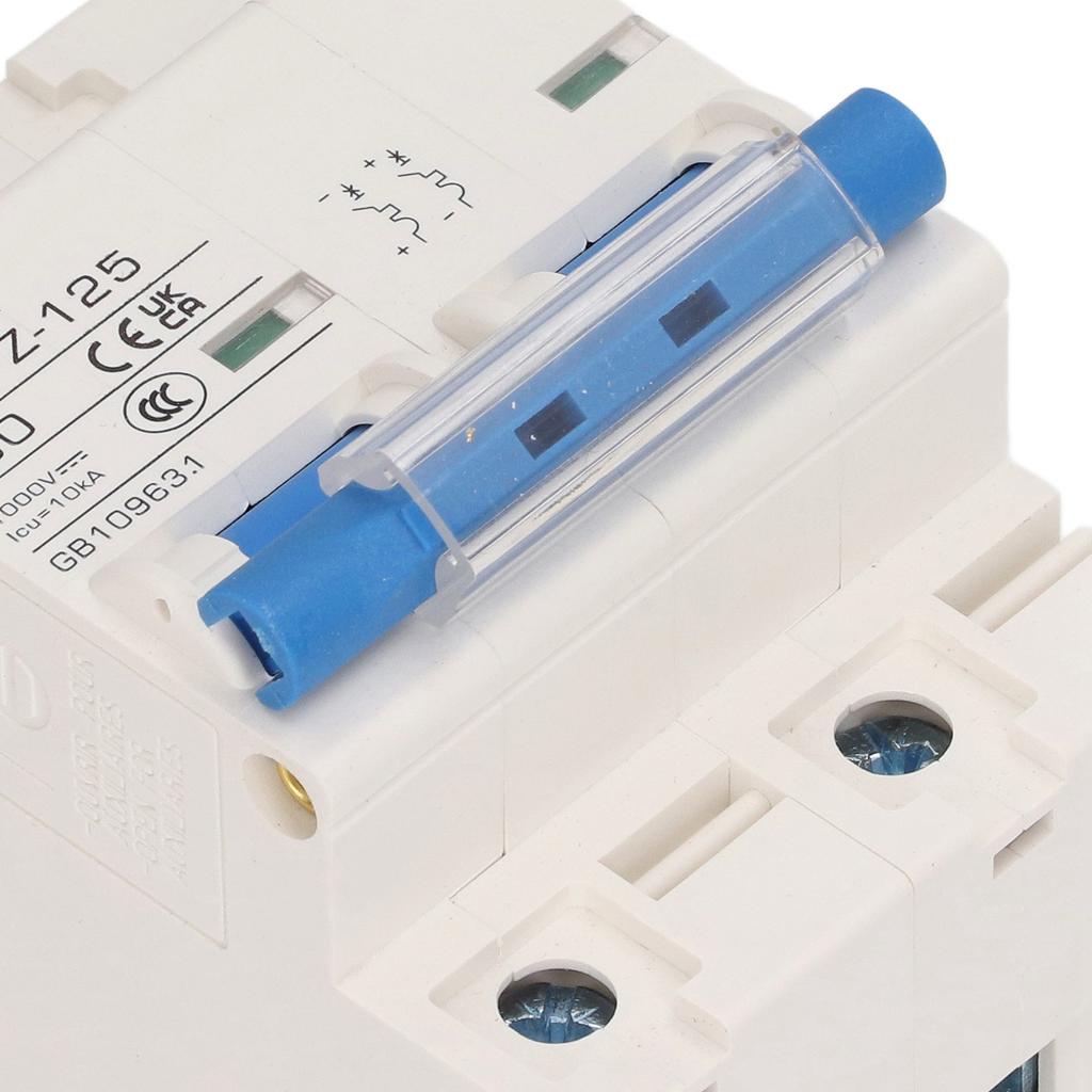 2P   Circuit Breaker 10KA Breaking Capacity Solar PV System Small Circuit Breaker 80A  1000V