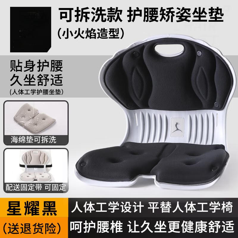 Aige Lumbar Support Office Cushion
