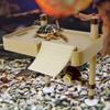 Reptile – Terarii pentru reptile
