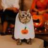 Filz Haustier Cosplay Kleidung Kürbis Spinne Halloween Katze Kopfbedeckung Halloween Party