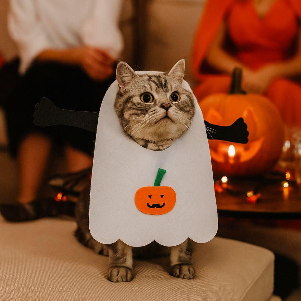 Filz Haustier Cosplay Kleidung Kürbis Spinne Halloween Katze Kopfbedeckung Halloween Party