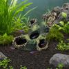 Decaying Trunk Aquarium Hide Decorative Betta Fish Hideout with Multiple Holes