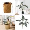 Style Artificial Alocasia Odora Leaf Plant With Handcrafted Basket For Home Decor