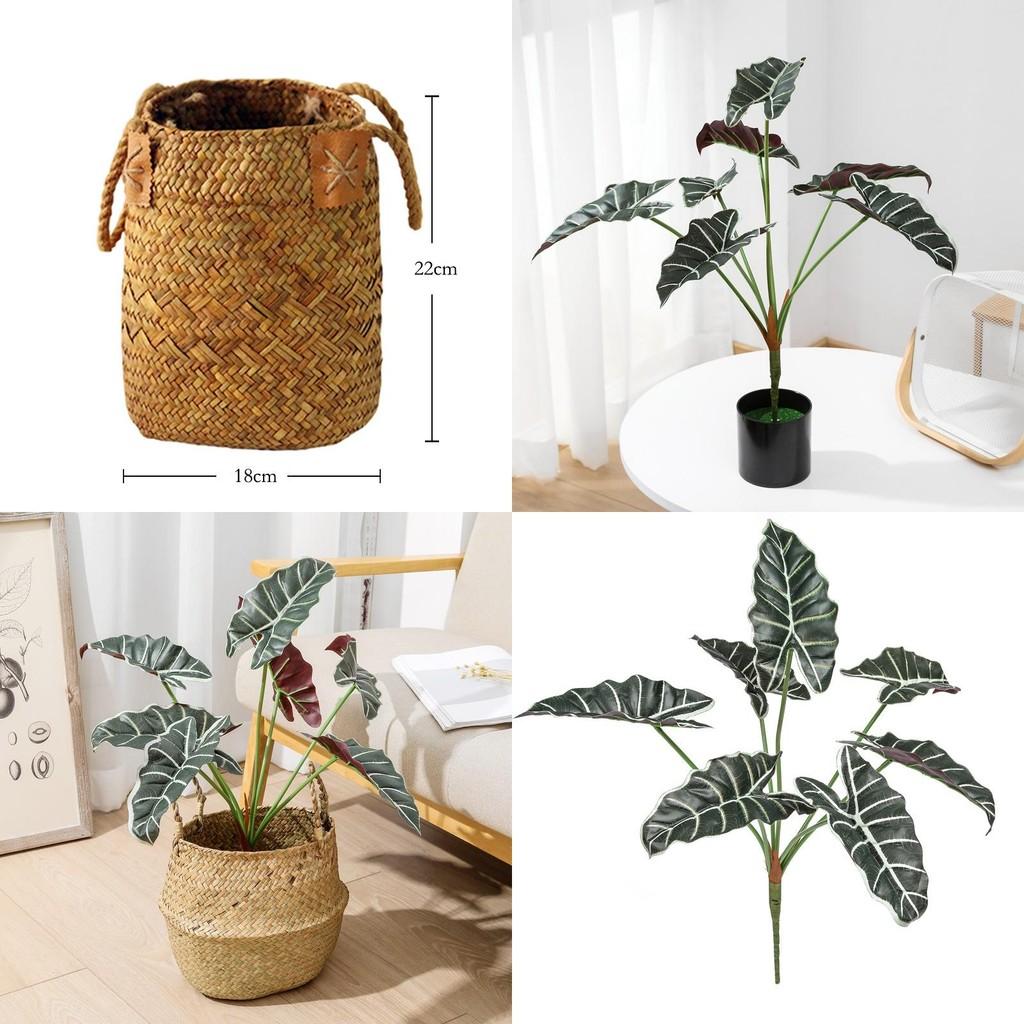 Style Artificial Alocasia Odora Leaf Plant With Handcrafted Basket For Home Decor