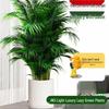 Artificial Areca Palm Plant