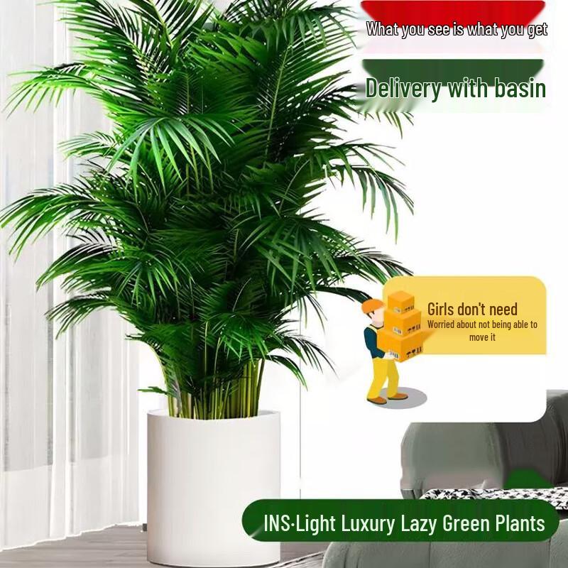 Artificial Areca Palm Plant