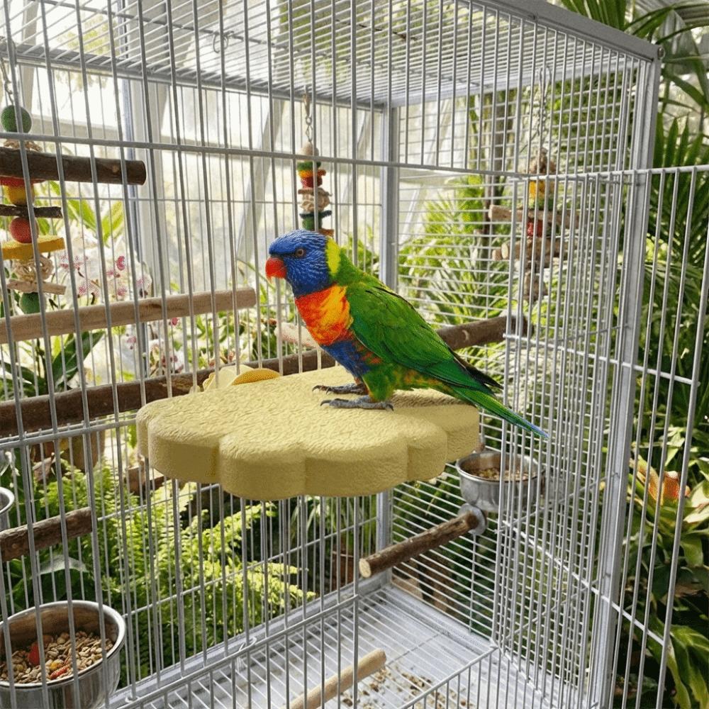 Bissfester Papageienständer Verschleißfester Schnabelschleifständer Vogelzubehör Hüpfständer Wellensittich