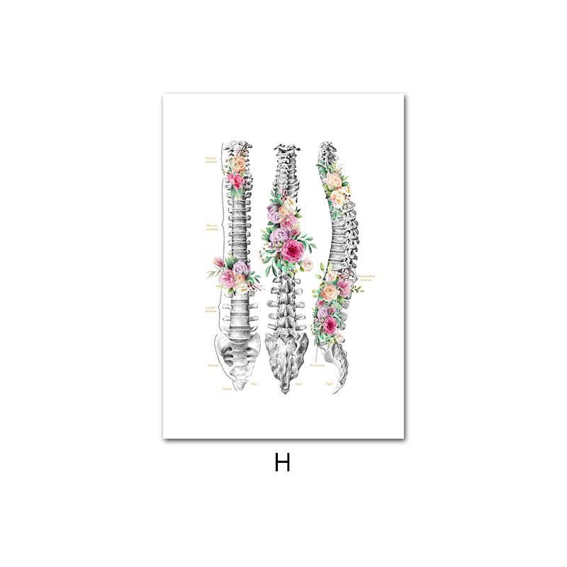

Цветок Анатомия человека Скелет Холст Картина Структура кости Образование Художественный плакат с принтом настенные панно для современного декора больницы 30x40cm No Frame