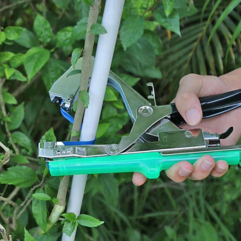 10pcs 10PCS Tying Machine Tape Tying Binding Tool Vegetable Fruit Tree Taper  Garden Use