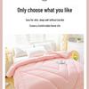 Cozy All-Season Antibacterial Polyester Duvet Insert