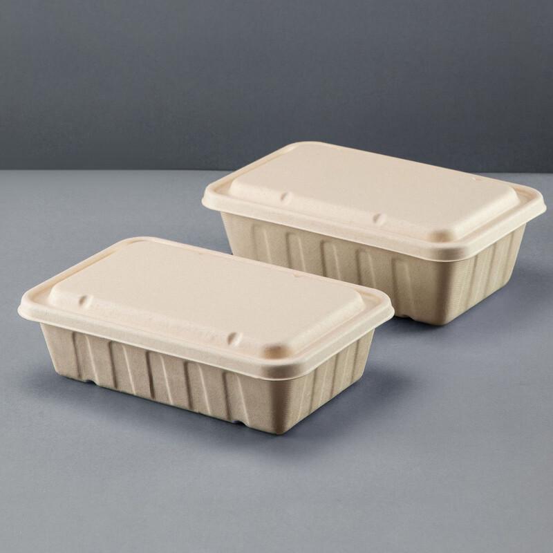 Mudisi Disposable Rectangular Takeout Salad Container