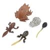 Animal Figure Toys PVC Compact Realistic Children Cognitive Growth Cycle Animal Model Frog Toy for