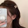 2pcs Mini Flower Hair Clip Headdress Tulip Hair Clip Female Headwear Small Hair Catch Bangs Top Clip Hairpin Shark Clip Claw