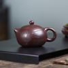 Tradition Yixing Purple Clay Teapot Handmade Orchid Xishi Tea Pot Beauty Tea Infuser Kettle Chinese Zisha Tea Set Teaware 170ml