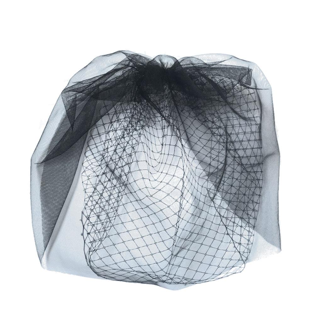 Hair Net Veil Headdress Wedding Bridal Cage Clip