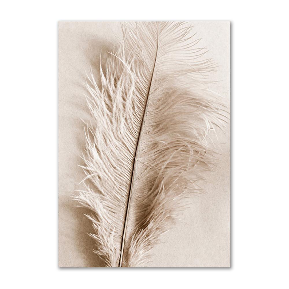 Soft feather