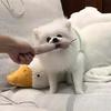 Dog Plush Donut Toy Interactive Squeaky Dog Chew Toy Stuffed Donut Puppy Teething Toy Relieves Boredom for Small Medium Dogs