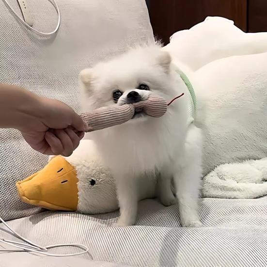 Dog Plush Donut Toy Interactive Squeaky Dog Chew Toy Stuffed Donut Puppy Teething Toy Relieves Boredom for Small Medium Dogs
