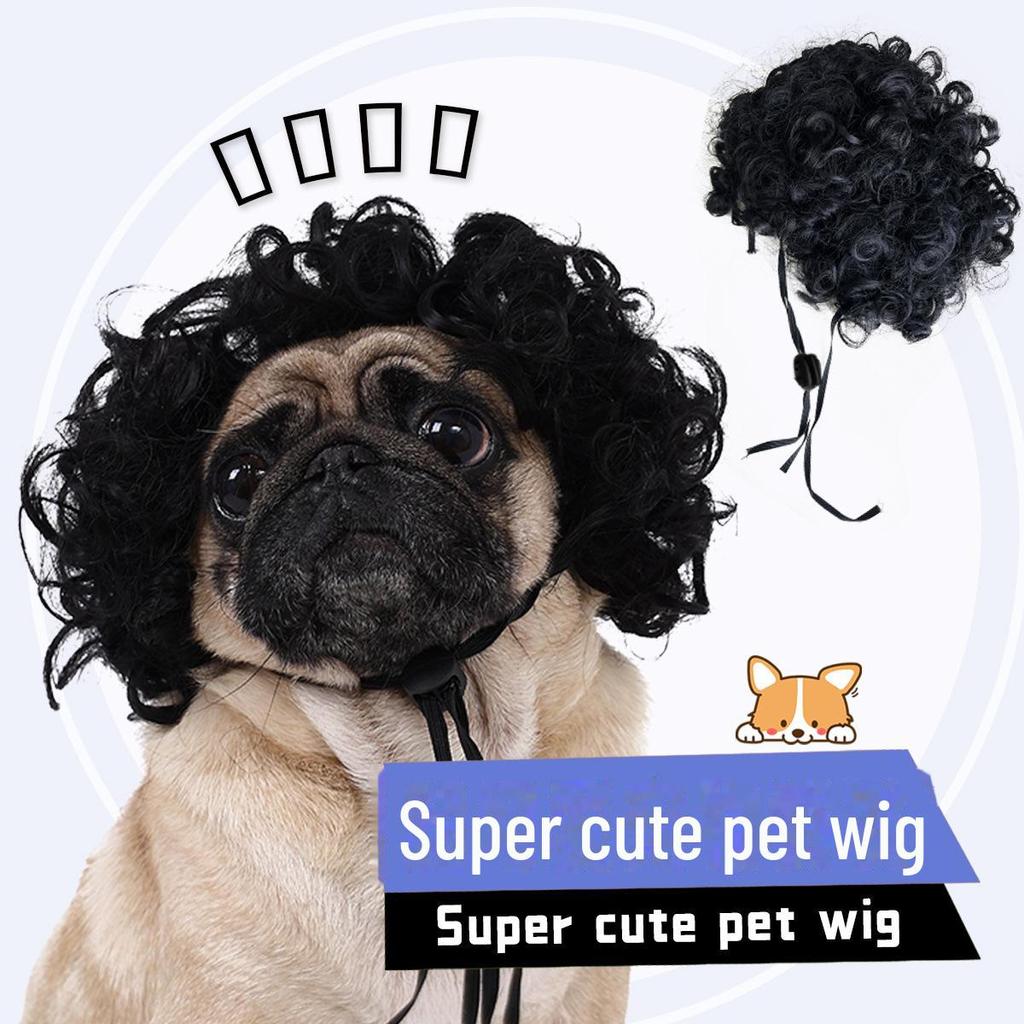 Pet Wig Collection: Afro Curly Hair Accessories for Dogs and Cats - Perfect for Halloween!