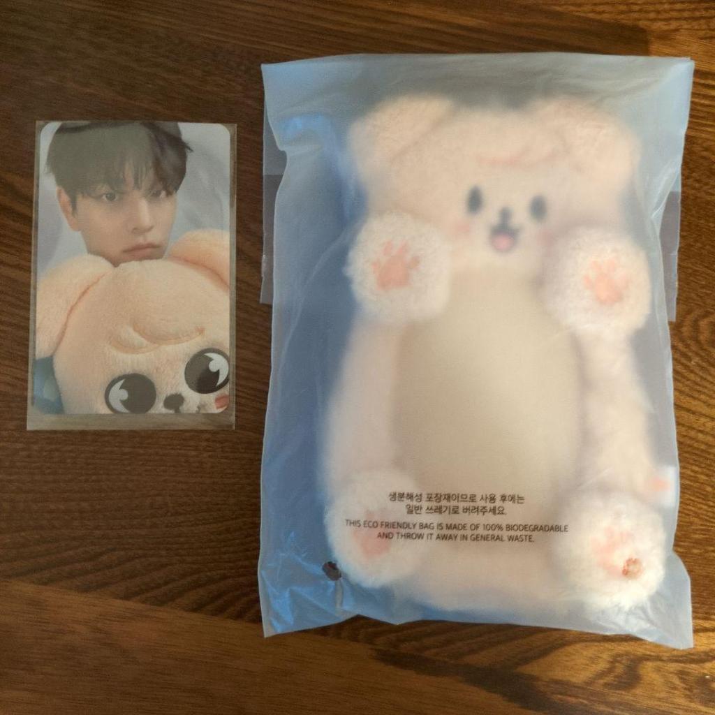 Used StrayKids Padoom Padoom Photocard Holder with Seungmin Photocard