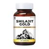ZEROHARM Nano Shilajit Gold Kapseln | Reines Himalaya Shilajit 500mg | Fulvinsäure & Huminsäure | Unterstützt natürliche Energie, Ausdauer & Muskelwachstum |