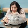 30~80cm Squishy Seal Soft Plush Chubby Sea Dog Stuffed Aquatic Animal Doll Comforting Birthday Gift White Grey