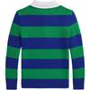 Polo Ralph Lauren Polo Shirt FW24 Striped Small Pony Embroidered Pullover Long Sleeve Kids tops Green CWPOSWEY6820524-999