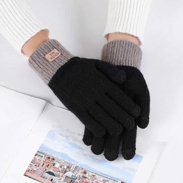 Warm Gloves for Women In Autumn and Winter Alpaca Velvet Knitted Touch Screen Outdoor Anti Freeze Plus Velvet Thickened Korean Version Cute
