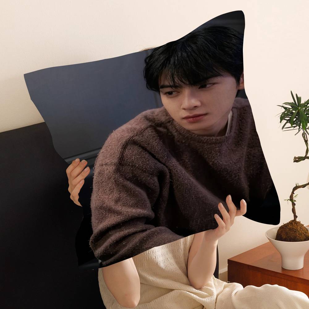 Singer C-Cha EunWooS Cushion Cover Decorative Pillow Sofa Home Decor Case Pillow Cases