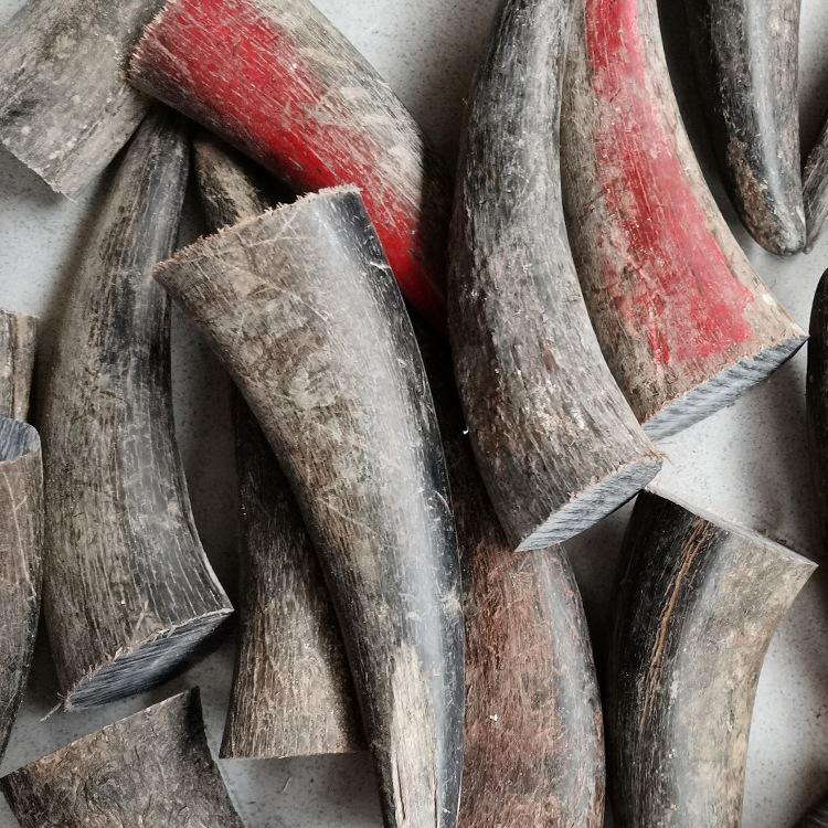 Bizoní roh DIY materiál pro řezbářství a řemesla: Rukojeti nožů, Korálky, Pečetě