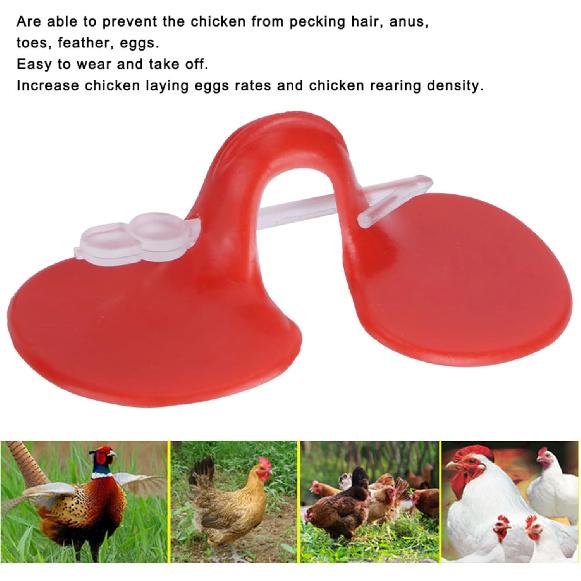 500Pcs Chicken Eye Glasses, Reusable Chicken Blinders Non-Pecking Eye Glasses Tool Pheasants Poultry Blinders Spectacles for Poultry Necessary,